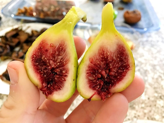 iPhone dock - Image 4